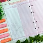 Refil Fichário Tamanho Colegial ou Caderno Argolado Rosa Rose 80 Folhas 17,9 x 24,1 cm - Animativa