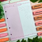 Refil Fichário Tamanho Colegial ou Caderno Argolado Rosa Rose 80 Folhas 17,9 x 24,1 cm - Animativa