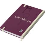 Vampiro: A Máscara (5ª Edição) - Camarilla - Diário de Personagem