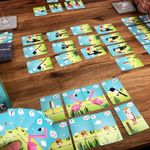 CuBirds