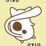 Taco Gato Cabra Queijo Pizza: ao Contrario