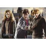 Quebra-Cabeça Harry Potter 150 peças