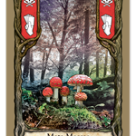 Fungi