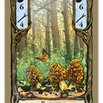 Fungi