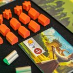 Caylus 1303