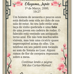 UNDO: Festival da Flor de Cerejeira