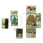 Forest Shuffle