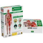Quebra-Cabeça Puzzle Play Gigante 100 Peças - Corpo Humano