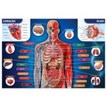 Quebra-Cabeça 200 Peças - Corpo Humano