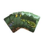 Jogo do Mico & Memória - 2 jogos em 1 - M&M - Linha SLIM