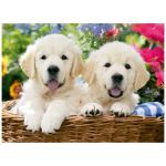 Quebra-Cabeça Mini 500 Peças – Cesta de Labradores