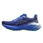 Tênis Asics Novablast 4 Senna Feminino