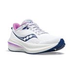 Tênis Saucony Triumph 21 Feminino