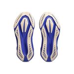 Tênis Asics Novablast 5 Feminino