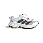 Tênis Adidas Terrex Freehiker SL GTX Masculino