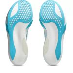 Tênis Asics Metaspeed Sky Tokyo Masculino