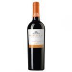 Bueno Paralelo 31 Gran Reserva 2020