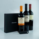 Combo Winepopper Adega