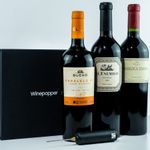 Combo Winepopper Adega