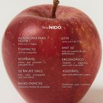 Nido Prisma