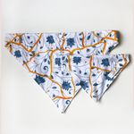 Bandana Pet Aika