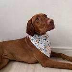 Bandana Pet Aika