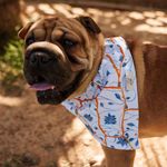 Bandana Pet Aika