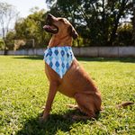 Bandana Pet Batlló