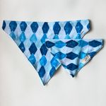 Bandana Pet Batlló