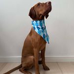 Bandana Pet Batlló