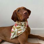 Bandana Pet Flora 