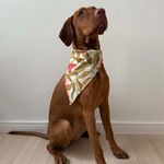 Bandana Pet Flora 