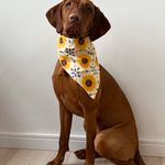 Bandana Pet Kira