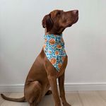 Bandana Pet Vicens
