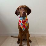Bandana Pet Milá