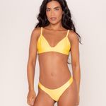 Top Maya Mango