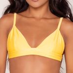 Top Maya Mango