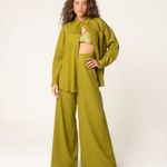 Camisa Cassis Oliva