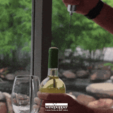 [Banner][Menu] Winepopper