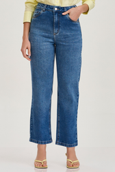 Calça Jeans Reta Briana Baudin