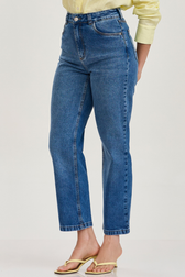 Calça Jeans Reta Briana Baudin