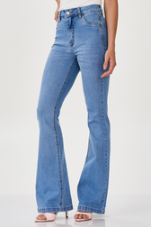Calça Jeans Flare Denise Rosan