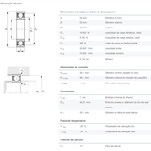 HC6205-ZZ-L038-C3 - Rolamento rígido de esferas de uma carreira com esferas de cerâmica