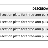 Placa extratora de três seções tripartida 210 mm TRI-SECTION-PLATE 210 - SCHAEFFLER