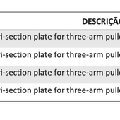 Placa extratora de três seções tripartida 495 mm  TRI-SECTION-PLATE 495 - SCHAEFFLER