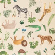 Safari