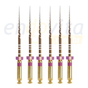 Lima Protaper Gold c/6 Dentsply
