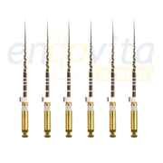 Lima Protaper Gold c/6 Dentsply
