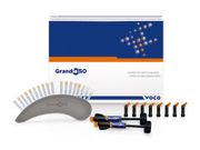 Resina Grandioso 4g Voco