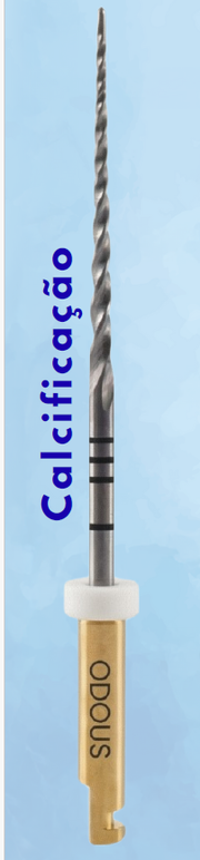 Lima Rotatória Odous Gic c/4 + 2 Odous Clean